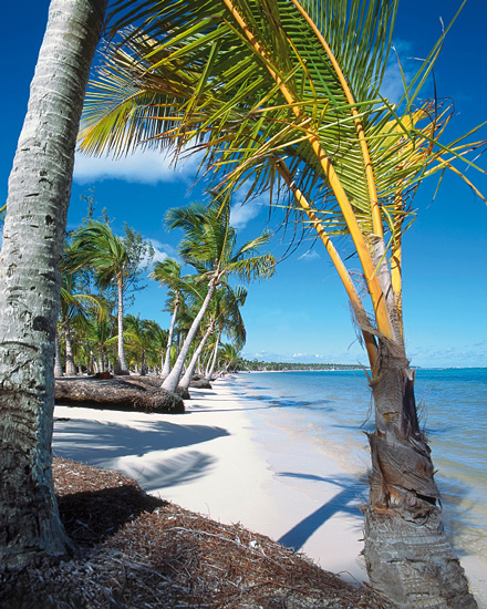 caribbean island beach
