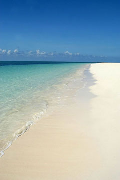 freeport beach - grand bahamas