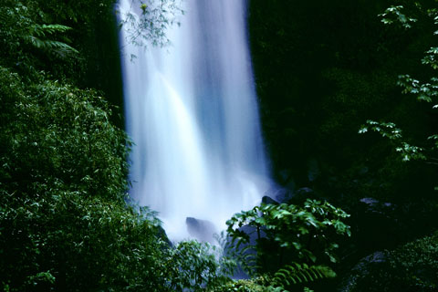 Dominica