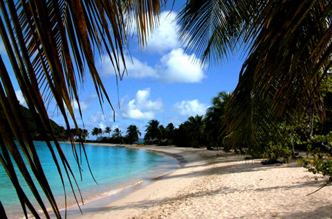 Grenadines