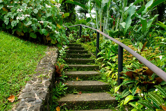 steps in a St Vincent botanical garden